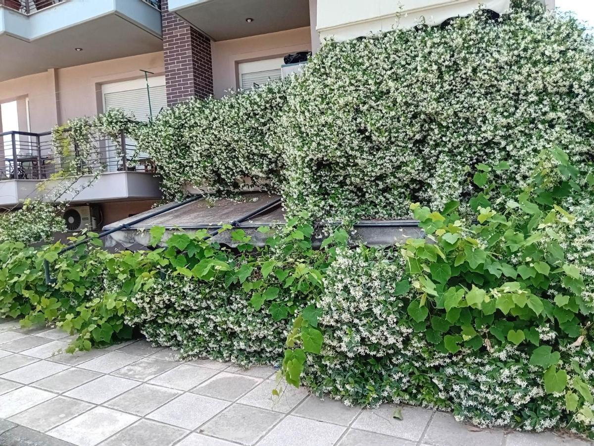 Stella'S Jasmine Apartment Thessaloniki Exterior photo